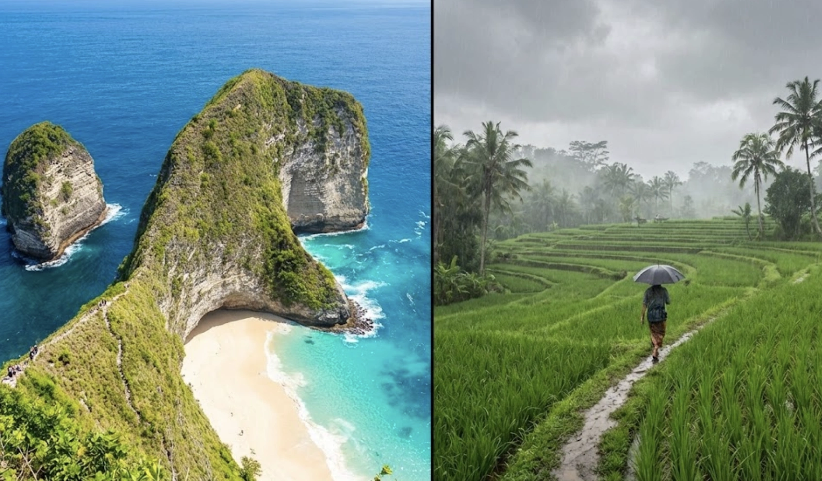 Sunny day at Kelingking Beach, Nusa Penida vs Rainy day in Ubud rice fields.